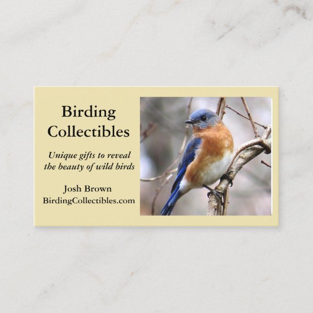 Bluebird Business Card (Front)
