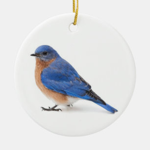 Bluebird Ceramic Tree Decoration