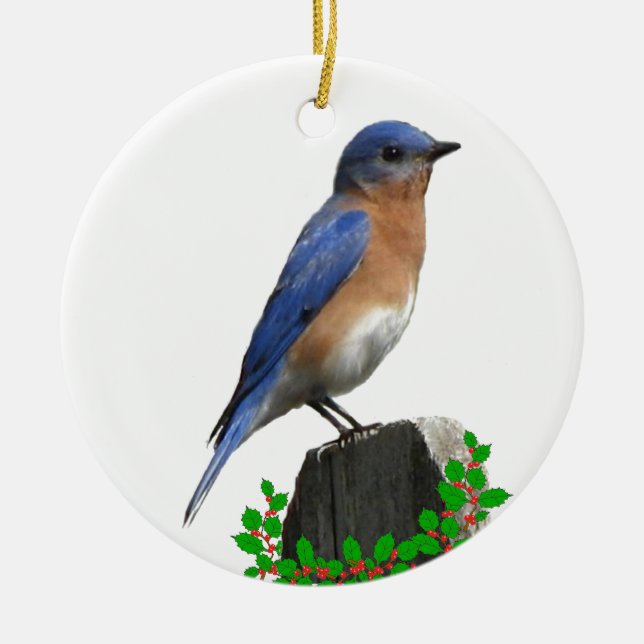 Bluebird Christmas Ceramic Tree Decoration (Front)