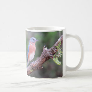Bluebird Coffee Mug