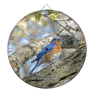 Bluebird Dartboard