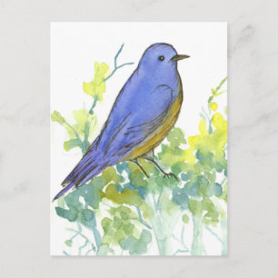 Bluebird Desert Sagebrush Watercolor Postcard