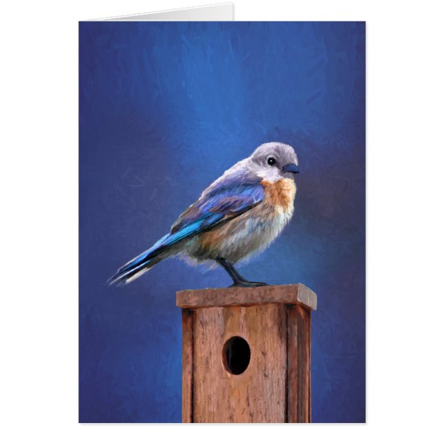 Bluebird (Female) Painting - Original Bird Art (Front)