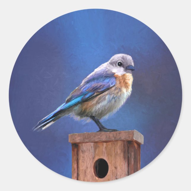 Bluebird (Female) Painting - Original Bird Art Classic Round Sticker (Front)