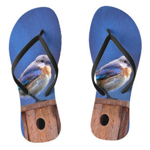 Bluebird (Female) Painting - Original Bird Art Flip Flops