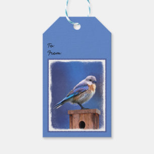 Bluebird (Female) Painting - Original Bird Art Gift Tags