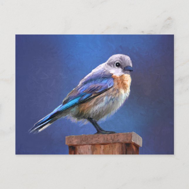 Bluebird (Female) Painting - Original Bird Art Postcard (Front)