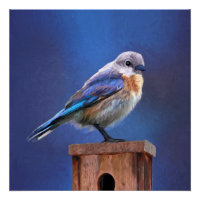 Bluebird (Female) Painting - Original Bird Art