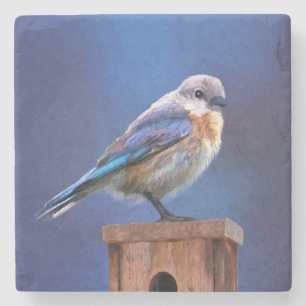 Bluebird (Female) Painting - Original Bird Art Stone Coaster