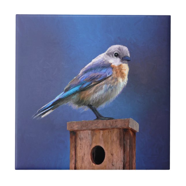Bluebird (Female) Painting - Original Bird Art Tile (Front)