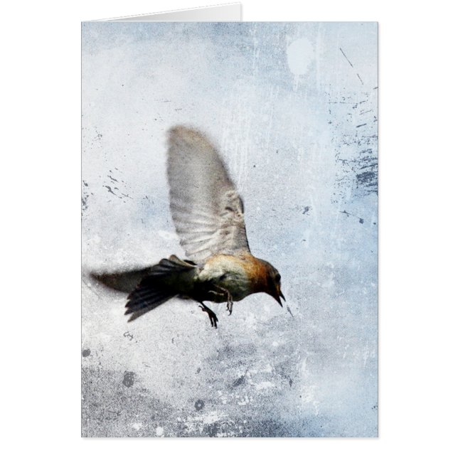 Bluebird Grunge (Front)