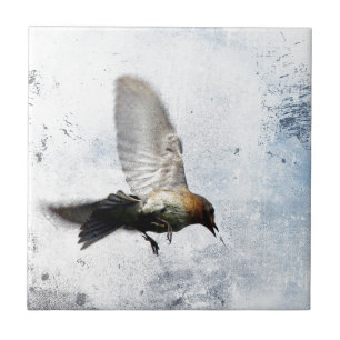 Bluebird Grunge Tile