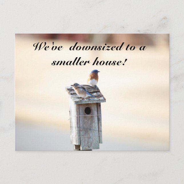 Bluebird House - Funny Change of Address Postcard (Front)