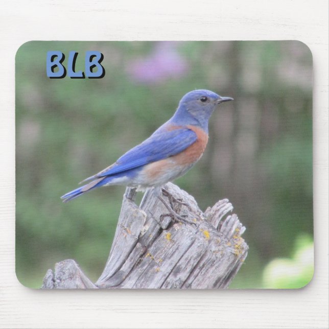 Bluebird in Spring  your Initials Mouse Mat (Front)