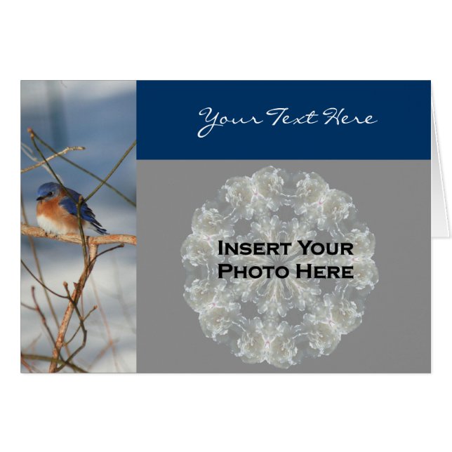 Bluebird In Winter Nature Photo Card (Front Horizontal)