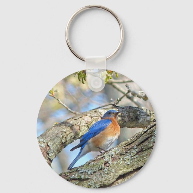 Bluebird Key Ring (Front)