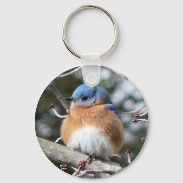 Bluebird Key Ring (Front)