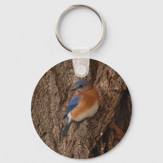Bluebird Keychain (Front)