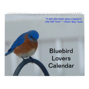 Bluebird Lovers Calendar