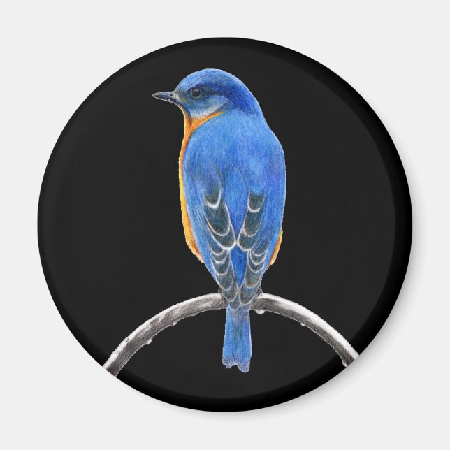Bluebird Magnet (Front)