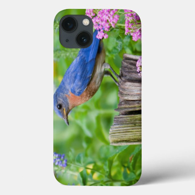 Bluebird male on fence post in flower garden Case-Mate iPhone case (Back)