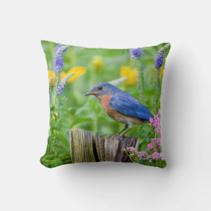 Bluebird male on fence post in flower garden cushion