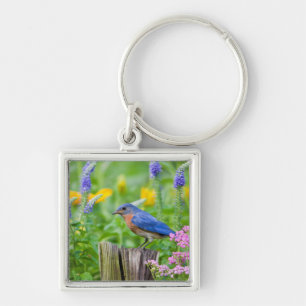 Bluebird male on fence post in flower garden key ring