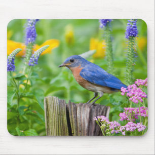 Bluebird male on fence post in flower garden mouse mat