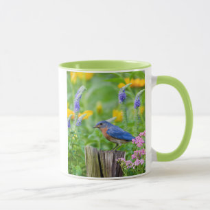Bluebird male on fence post in flower garden mug