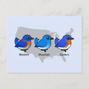 Bluebird Map Postcard