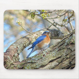 Bluebird Mouse Mat