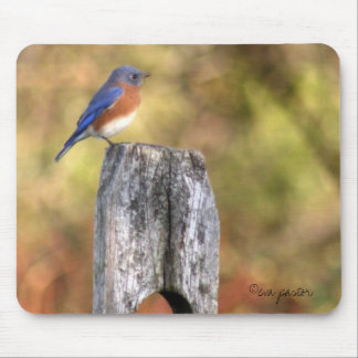 Bluebird Mousepad