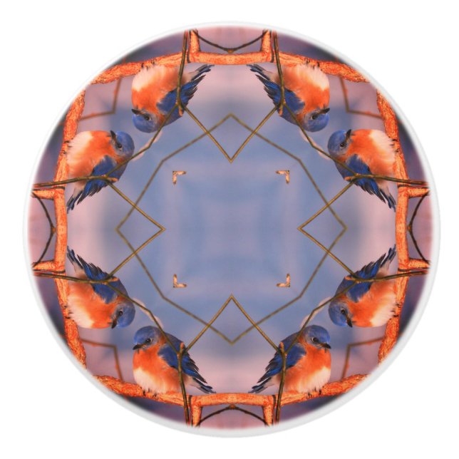 Bluebird Nature Abstract Art   Ceramic Knob (Front)