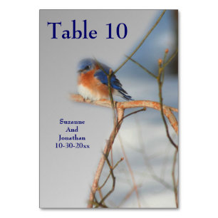 Bluebird Nature Personalised Wedding  Table Number