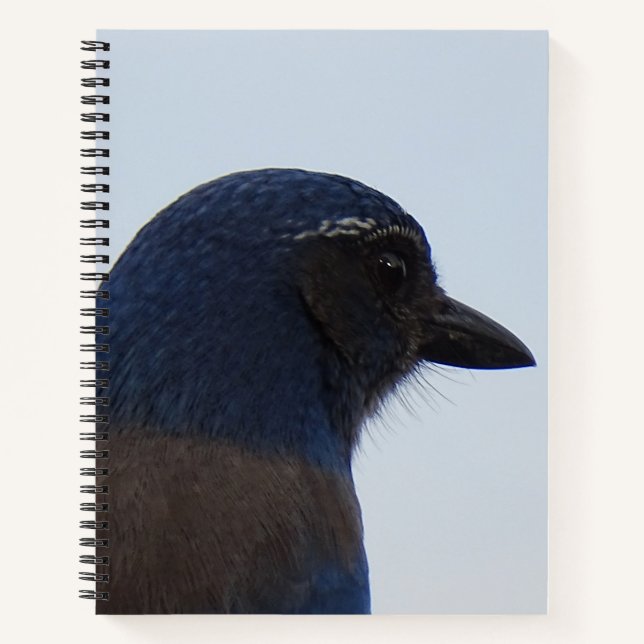 Bluebird Notebook (Front)