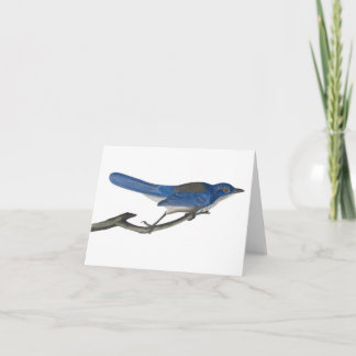 Bluebird Notecard