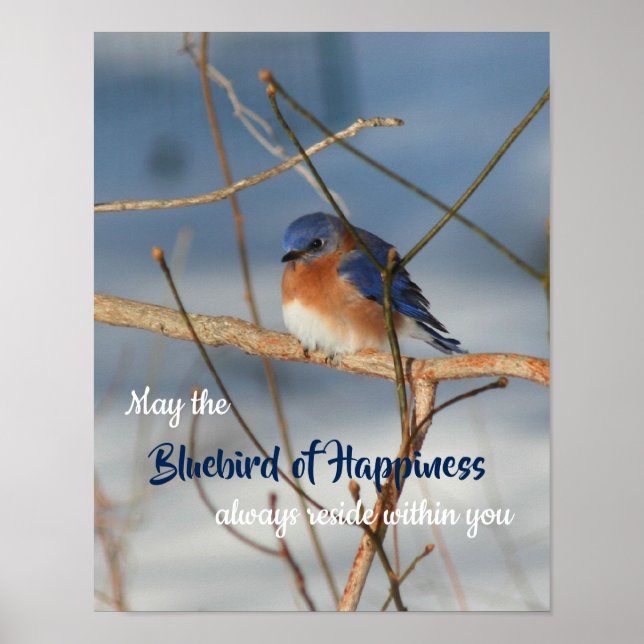 Bluebird Of Happiness Inspirational Poster (Front)