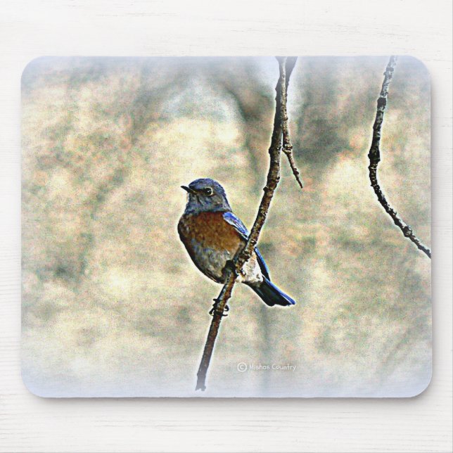 Bluebird of Happiness Mouse Mat (Front)