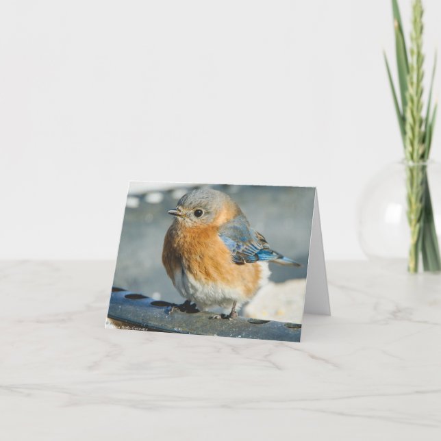 Bluebird of Happiness Thank You Card (Front)