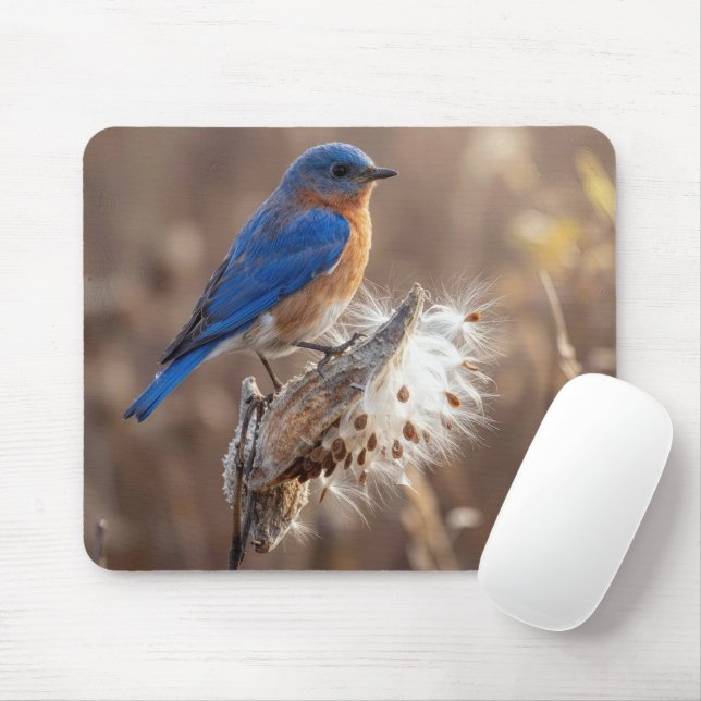 Bluebird on a Milkweed Pod Mouse Mat (With Mouse)