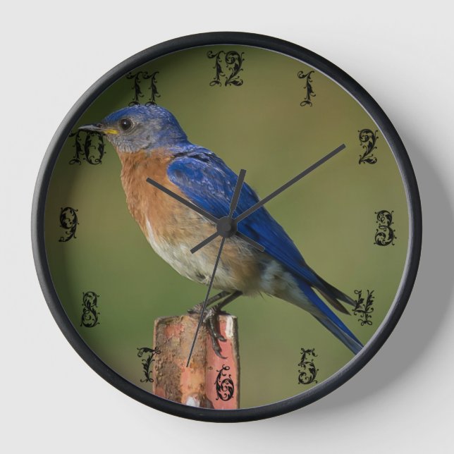 BLUEBIRD ON A STAKE C CLOCK (Front)