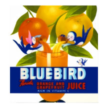 Bluebird Orange Juice Vintage Poster