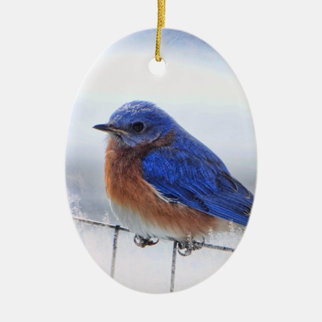 Bluebird oval ornament (Front)