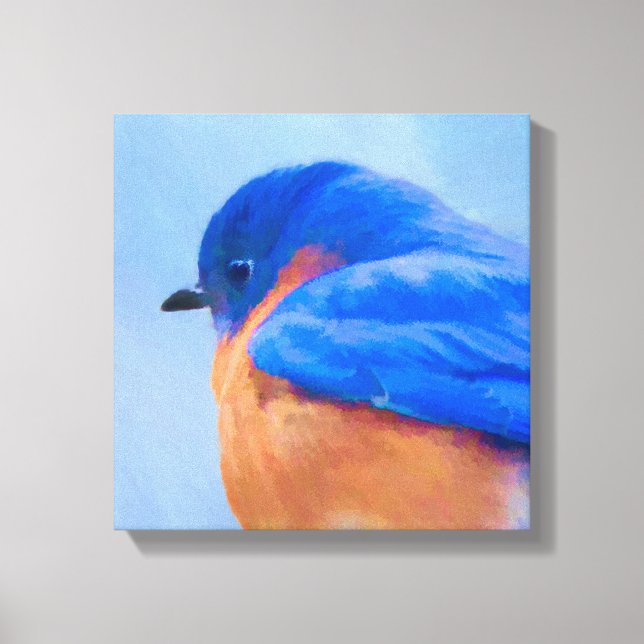 Bluebird Painting - Original Bird Art Canvas Print (Front)
