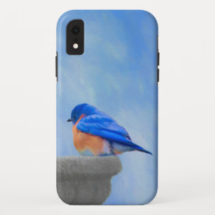 Bluebird Painting - Original Bird Art iPhone XR Case