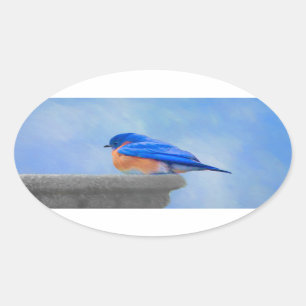 Bluebird Painting - Original Bird Art Oval Sticker