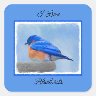 Bluebird Painting - Original Bird Art Square Sticker