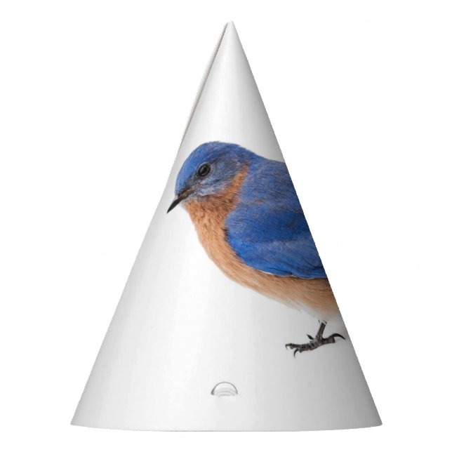 Bluebird Party Hat (Left)