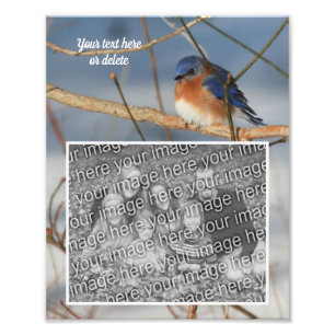 Bluebird Personalised Create Your Own 8x10 Photo Print