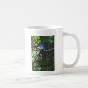 Bluebird photo mug 2